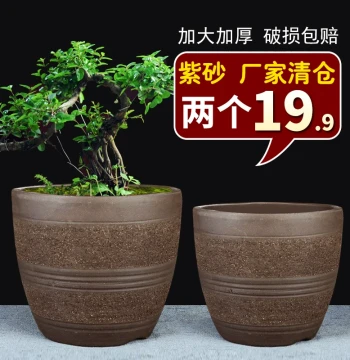 Yixing Zisha Antique Round Mouth Flower Pot for Balcony Plants - Clearance Sale for Bamboo Fern Succulents Acorus Orchids