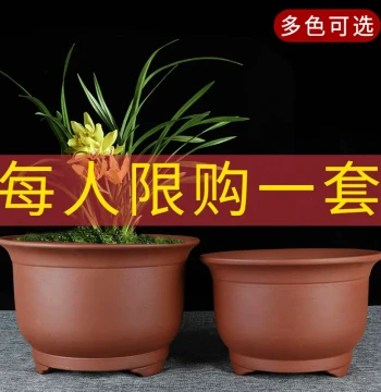 Yixing Extra Large Purple Clay Orchid Pot - Clearance Special for Bonsai, Clivia, Pothos; Ceramic Pot for Balcony Vegetable Growing