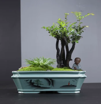 Celadon Zisha Flower Pot for Asparagus Fern Acorus Flowers Green Plants Potted Succulents Small Bonsai Ceramic Rectangular Pot with Base