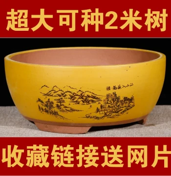 Zisha Flower Pot Ceramic Home Large Diameter Indoor Phalaenopsis Succulent Acorus Flower Bonsai Pot Ceramic Flower Pot Special Price