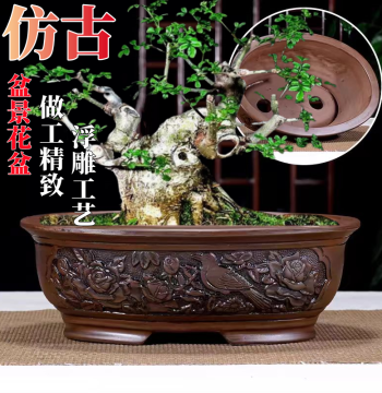 Extra-Large Rectangular Ceramic Planter: Square Trough Style & Oval Bonsai Pots – Clearance Sale with Free Shipping