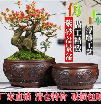 Rectangular Yixing Zisha Planter with Antique Relief Design for Banyan, Plum Blossom, and Old Stump Bonsai – Large Ceramic Pot