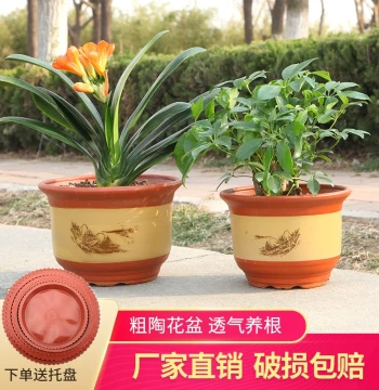 Extra-Large Purple Clay Terracotta Ceramic Flower Pot for Living Room Floor Display - Coarse Sand Large Bonsai Planter for Orchids