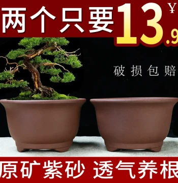 Yixing Zisha Flower Pot for Indoor Balcony Greenery and Tree Planting: Bell-Shaped Bonsai Pot, Small to Medium Round Succulent Ceramic Planter