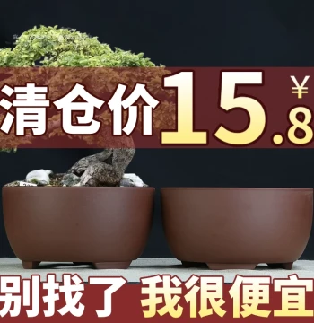 Yixing Zisha Flower Pot Clearance - Simple Breathable Clay Pots for Succulents, Spider Plants, and Pothos (Green Plants)