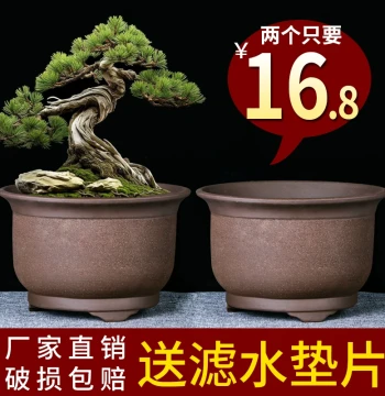 Yixing Zisha Flower Pot Large Diameter Triangle Golden Bell Special Clearance Old Stump Green Plants Flowers Dedicated Ceramic Bonsai Pot