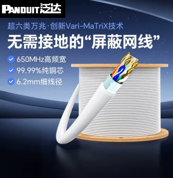 Panduit Cat6a UTP Network Cable Home Replacement 10 Gigabit Pure Oxygen-Free Copper White Twisted Pair Monitoring 30 Meters