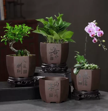 Zisha Flower Pot Special Clearance with Base Tray, Bonsai Pot for Orchids, Asparagus Fern, Small Banyan, Succulents, and Green Plants