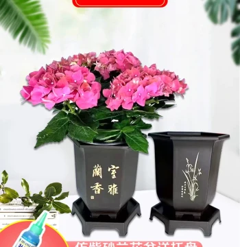 Orchid-Specific Hexagonal Pot. Dedicated Bonsai Pot. Imitation Zisha Clay Thickened Resin Flower Pot for Cymbidium and Clivia