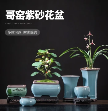 Zisha Flower Pot for Succulents - Ceramic Pot in Small and Large Sizes for Orchids, Asparagus Ferns, and Greenery; Bonsai Pot with Tray