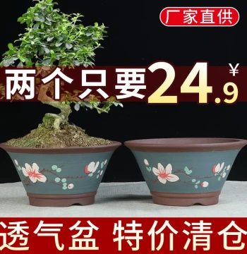 Yixing Zisha Flower Pot Clearance - Simple Breathable Clay Pots for Succulents, Spider Plants, and Pothos (Green Plants)