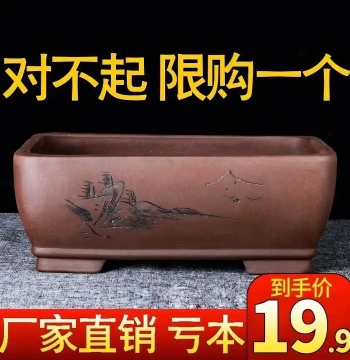 Yixing Purple Clay Rectangular Flower Pot, Clearance Sale Extra-Large Base Tray Bonsai Planter, Minimalist Green Plant Small Ceramic Pot