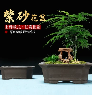 Yixing Zisha Flower Pot Special Clearance Large Rectangular Horse Trough Bonsai Pot Simple Green Plant Floral Ceramic Pot