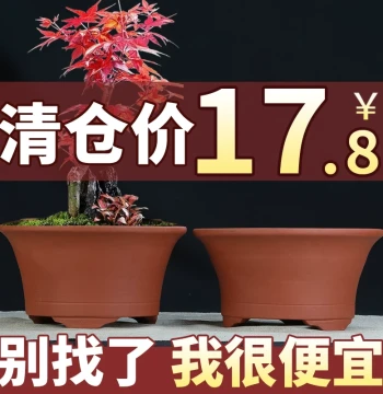 Yixing Zisha Flower Pot Clearance Sale: Minimalist Bonsai Pot for Succulents and Spider Plants; Breathable Clay Pot for Pothos and Green Plants