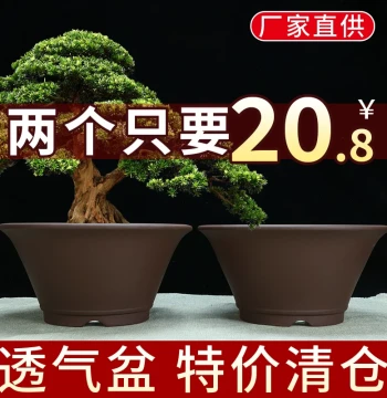 Yixing Zisha Flower Pot Clearance Sale: Minimalist Bonsai Pot for Succulents and Spider Plants; Breathable Clay Pot for Pothos and Green Plants; Ceramic Edition