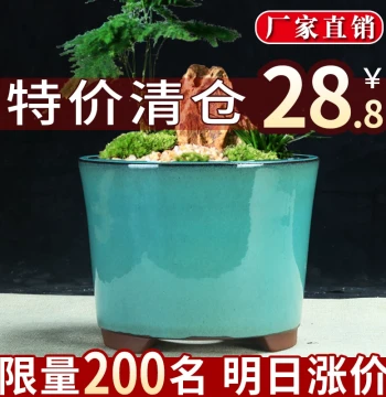 Yixing Zisha Orchid Pot with Free Shipping - Clearance Sale Premium Glazed Planter for Green Plants and Succulents - Small Bonsai Pot for Tea Tables and Desks