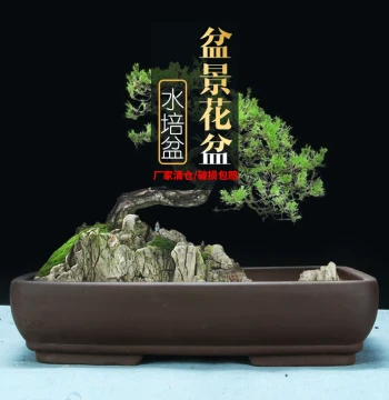 Special Clearance: Unperforated Hydroponic Zisha Clay Shallow Pot for Green Plants, Ficus, Bonsai Trees, and Rockery Landscapes
