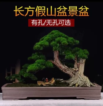 Extra-Large Rectangular Zisha Bonsai Pot (Perforated/Non-Perforated Options), Oversized Planter for Rockery and Water-Absorbing Stones, Free Shipping
