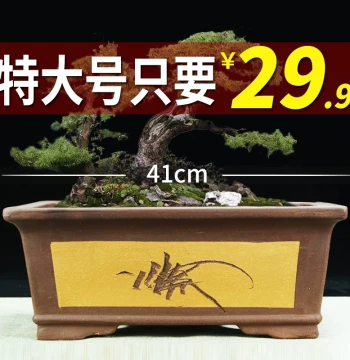 Yixing Zisha Flower Pot Special Clearance Rectangular Extra Large Trough Bonsai Pot Minimalist Green Plant Floral Ceramic Pot