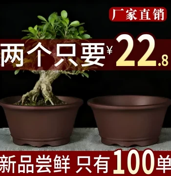 Yixing Purple Clay Flower Pot - Special Clearance Sale for Succulents and Spider Plants, Minimalist Bonsai Pot, Breathable Root-Nurturing Planter for Pothos and Green Plants, Ceramic Pot