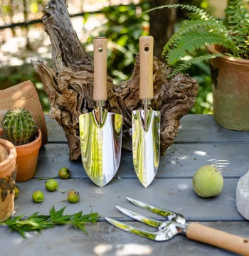 Stainless Steel Mini Shovel Gardening Tool 3-Piece Set Home Flower Shovel Planting Digging Weeding Loosening Tool