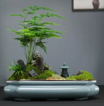 Ge Kiln Ceramic Flower Pot - Zisha Planter for Asparagus Fern Bonsai, Indoor Living Room Greenery Landscaping, and Succulents - Square and Oval Shapes