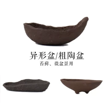 Yixing Zisha Planter, Fully Handcrafted Irregular Nanban Style Pot for Bonsai and Acorus Grass
