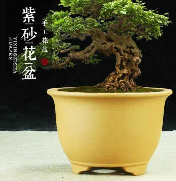 Yixing Purple Clay Large-Caliber Flower Pot, Clearance Sale Orchid Planter, Round Ceramic Bonsai Pot for Green Plants and Trees