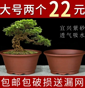 Yixing Zisha Flower Pot Clearance Sale, Minimalist Breathable Bonsai Pot for Succulents and Spider Plants, Root-Nurturing Ceramic Pot for Pothos and Greenery