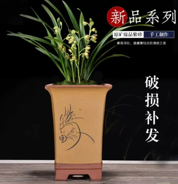 Free Shipping: Yixing Zisha Minimalist Flower Pot for Orchids and Clivia. Dot-Painted High Square Indoor Green Plant Bonsai Pot.