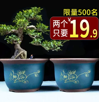 Yixing Purple Clay Orchid Pot - Extra Large Diameter Round Bonsai Pot for Old Stumps, Indoor Green Plants, and Small Ceramic Planters