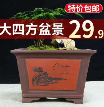 Extra-Large Square Zisha Orchid Pot - Clearance with Free Shipping - Big Four-Sided Ceramic Container for Green Plants, Plum Blossom Stumps, and Bonsai
