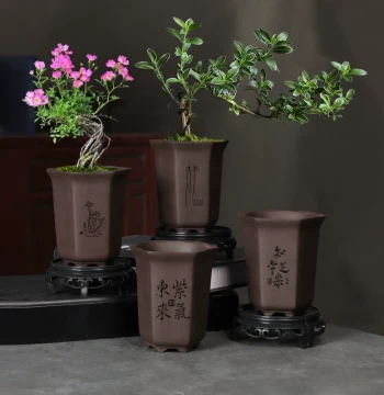 Ceramic Hexagonal Orchid Pot with Tray for Succulents