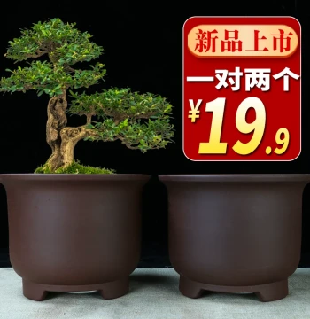 Yixing Zisha Orchid Pot with Round Opening, Specialized Small-to-Medium Cylindrical Ceramic Pot for Clivia Bonsai, Indoor Balcony Use