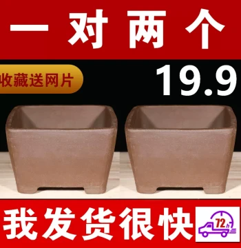 Purple Clay (Zisha) Square Flower Pot - Large Size for Bonsai Trees, Succulents, Balcony Vegetable Gardening; Ceramic Pot Clearance Sale