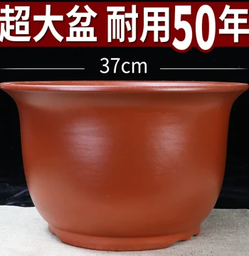 Yixing Zisha Orchid Pot: Ceramic Vase for Pothos, Succulents, and Vegetable Gardening; Clearance Sale on Extra-Large Bonsai Pots and Ceramic Editions