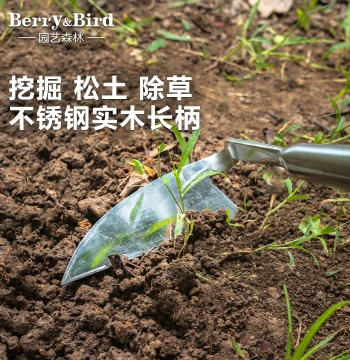 Berry&Bird Gardening Forest Long-Handle Stainless Steel Hoe – Outdoor Digging, Soil Loosening, Weeding Tool for Garden Planting