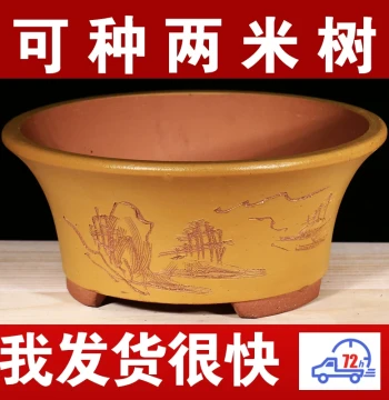 Large Diameter Zisha Bonsai Flower Pot - 'Emotional Stability' Outdoor Courtyard Ceramic Pot, Clearance Sale