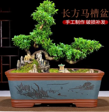 Yixing Rectangular Zisha Clay Flower Pot – Large-Opening Square Trough-Style Pot for Tree Stumps; Handcrafted Bonsai Planter