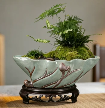 Zisha Asparagus Fern Pot Large Diameter Vintage Fujian Tea Succulent Old Stump Landscaping Bonsai Pot Orchid Container Free Shipping