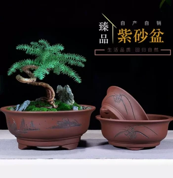 Zisha Flower Pot with Large Diameter for Old Stump Bonsai. Indoor and Courtyard Green Plant Pot Suitable for Small-Leaf Red Sandalwood, Golden Bullet, and Bougainvillea.