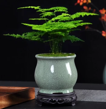 Ge Kiln Small Bonsai Breathable Flower Pot Desktop Ceramic Small Leaf Red Nanmu Asparagus Fern Zisha Pot Creative Phalaenopsis Green Plant Pot