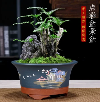 Succulent Zisha Clay Flower Pot – Indoor and Courtyard Green Plant Pot for Aged Stumps, Small-Leaf Red Sandalwood, Golden Dumpling Trees, and Bougainvillea