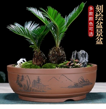 Extra-Large Round Zisha Clay Flower Pot for Tree Stumps, Old Stumps, Green Plants, Flowers, Bonsai, and Vegetable Growing, Free Shipping