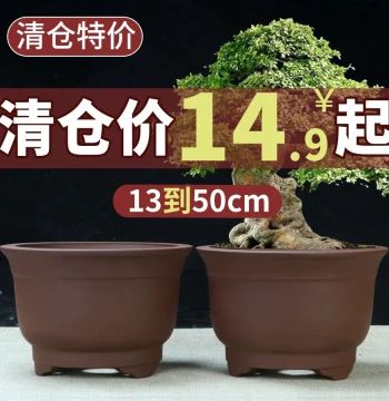 Yixing Zisha Flower Pot for Indoor Balcony Green Plants, Small Round Ceramic Pot for Succulents and Miniature Landscapes