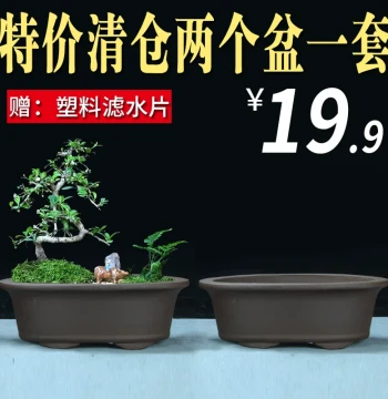 Yixing Purple Clay Planter Clearance Sale, Large Oval Minimalist Bonsai Pot, Ceramic Pot for Banyan Trees and Welcome Pines Landscaping
