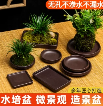 Brazilian Wood Ceramic Pot Minimalist Hydroponic Vessel Lucky Wood Purple Clay Modern Drainage-Free Pot with Tray