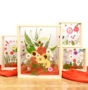 Solid Wood Acrylic Specimen Frame, Double-Sided Transparent Photo and Paper Cutting Display Box, 3D Picture Frame for DIY Desktop Display