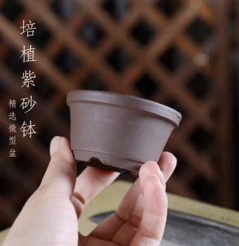 Zizaiwu Selected Purple Clay Planter Series, Miniature Bonsai Green Plant Control Cultivation, Mini 6# Propagation Pot