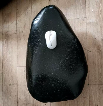 130 Jin Heavy Black Green Jade Seed Material Raw Stone Dragon Turtle Shape Shell Elephant Shape Hetian Jade Large Ornament Collection for Living Room